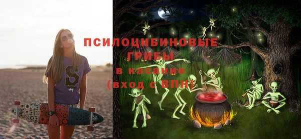 дмт Верхний Тагил